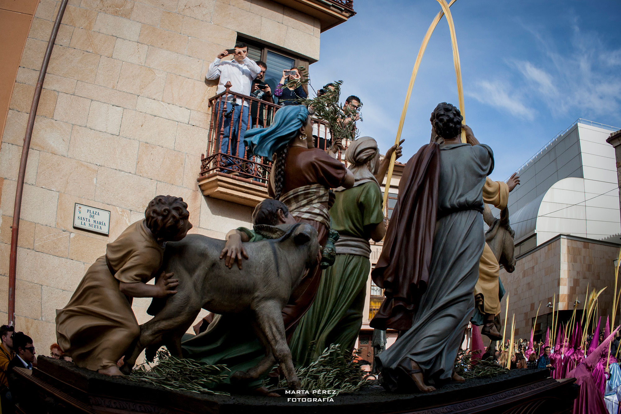 Real Cofradía de Jesús en su Entrada Triunfal en Jerusalén. © Marta Pérez