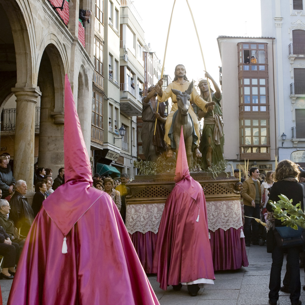 Real Cofradía de Jesús en su Entrada Triunfal en Jerusalén. © Mynt