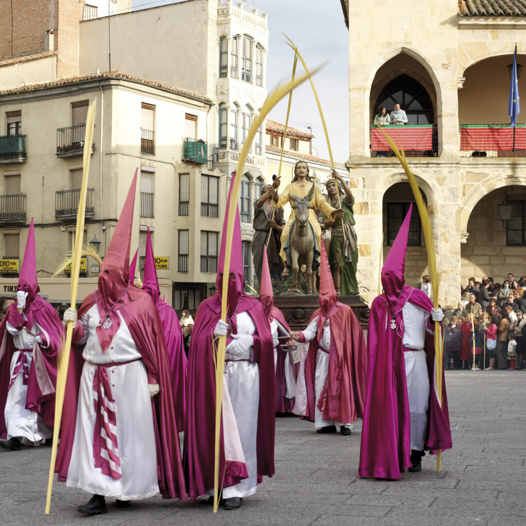 Real Cofradía de Jesús en su Entrada Triunfal en Jerusalén. © Mynt